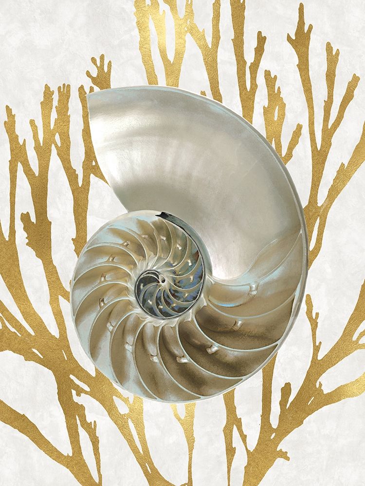 Shell Coral Gold II art print by Caroline Kelly for $57.95 CAD