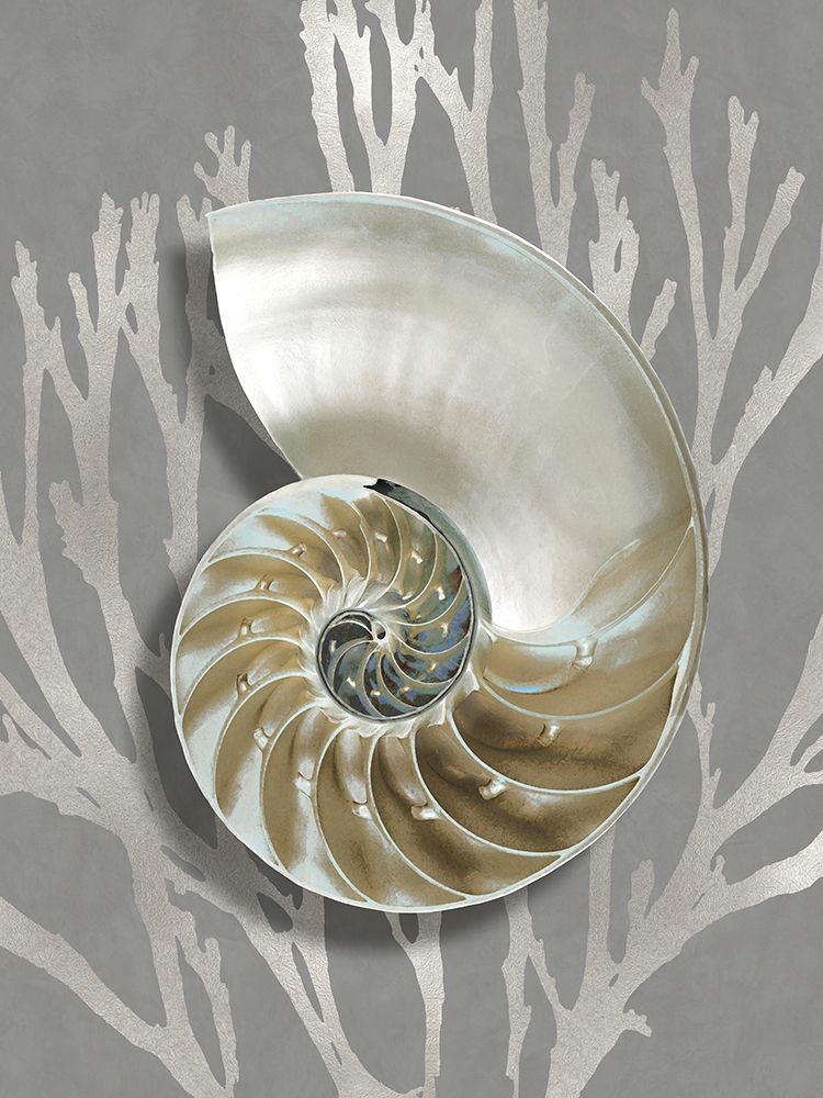 Shell Coral Silver on Gray II art print by Caroline Kelly for $57.95 CAD