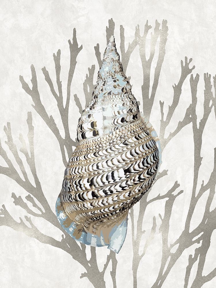 Shell Coral Silver I art print by Caroline Kelly for $57.95 CAD