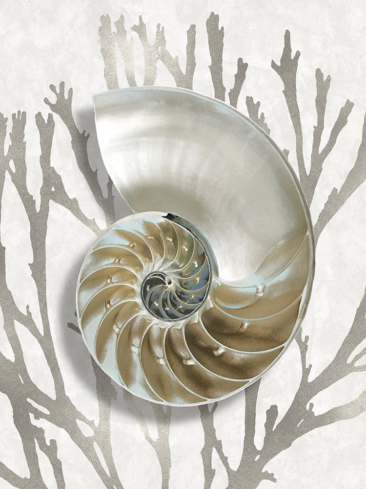 Shell Coral Silver II art print by Caroline Kelly for $57.95 CAD