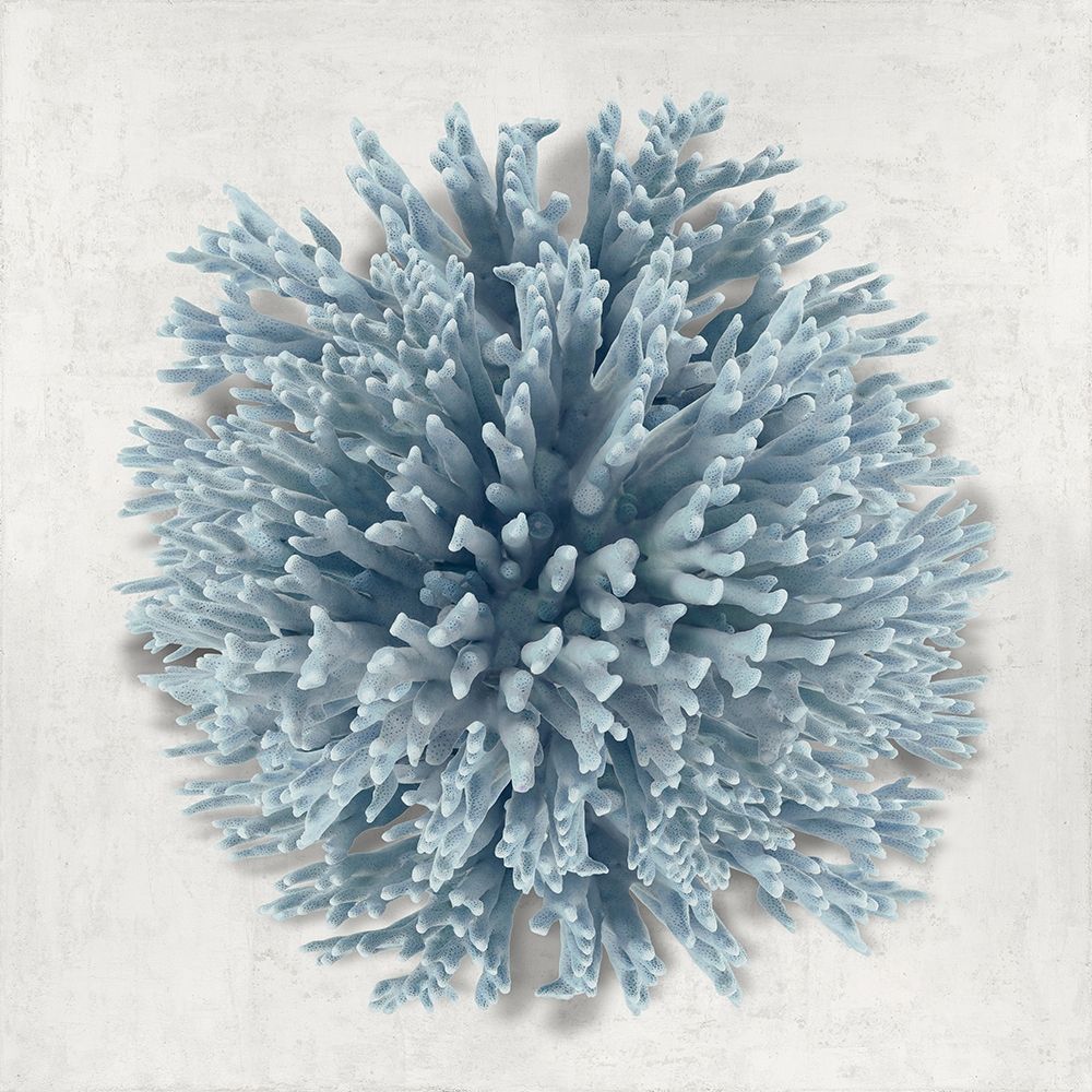 Coral Blue I art print by Caroline Kelly for $57.95 CAD
