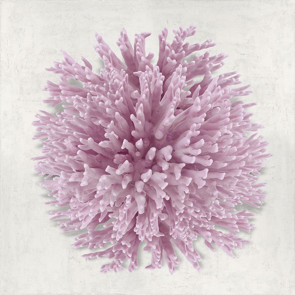 Coral Blush I art print by Caroline Kelly for $57.95 CAD