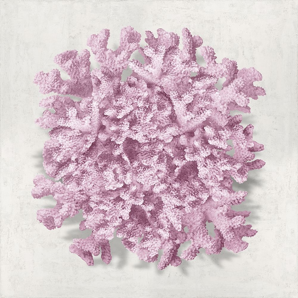 Coral Blush II art print by Caroline Kelly for $57.95 CAD