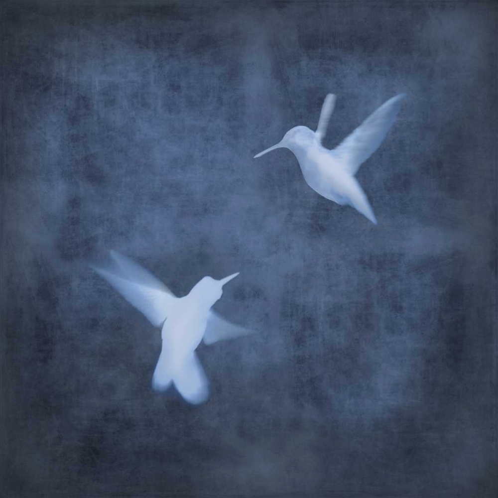 Flight in Blue I art print by Chris Donovan for $57.95 CAD