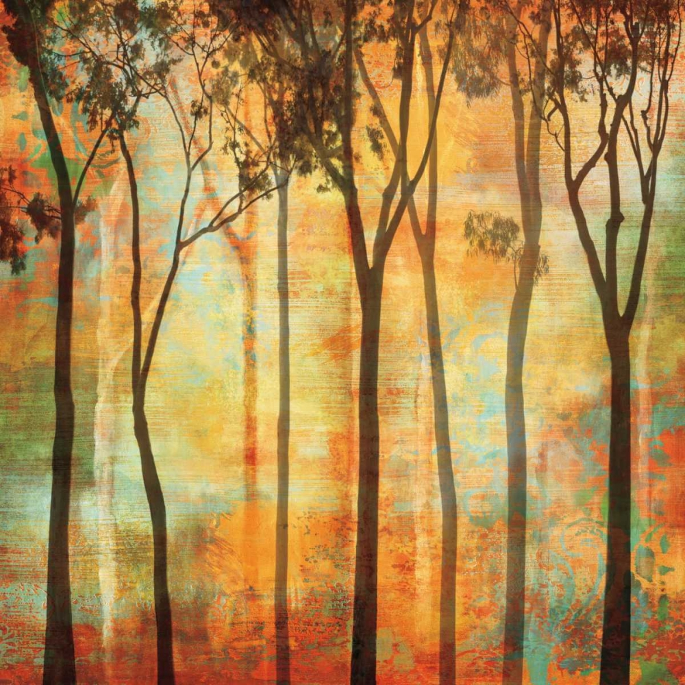 Magical Forest I art print by Chris Donovan for $57.95 CAD