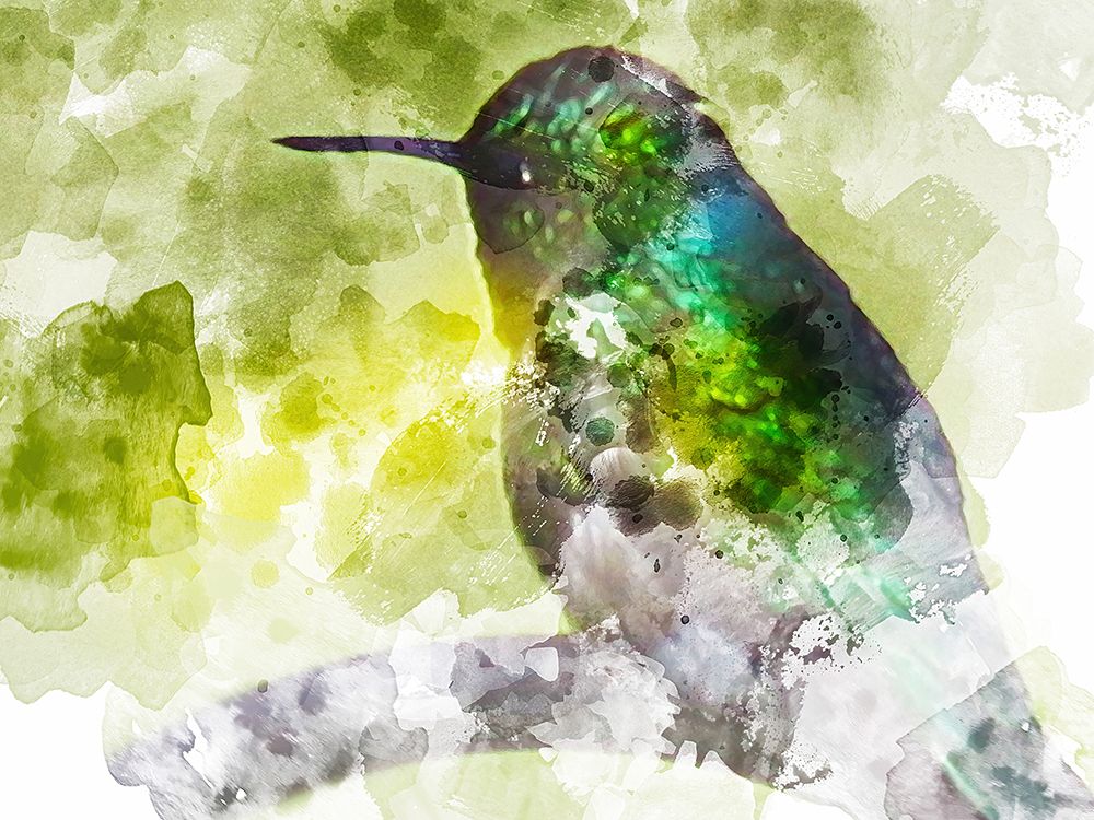 Humming Bird art print by Chamira Young for $57.95 CAD