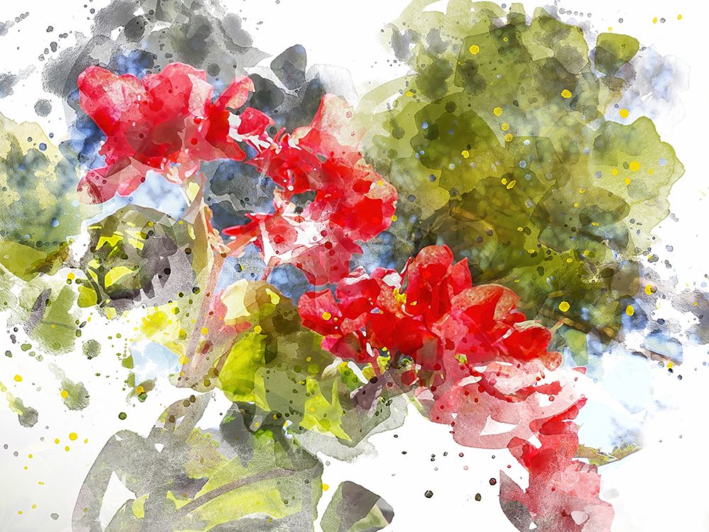 Floral in Bloom XIV art print by Chamira Young for $57.95 CAD