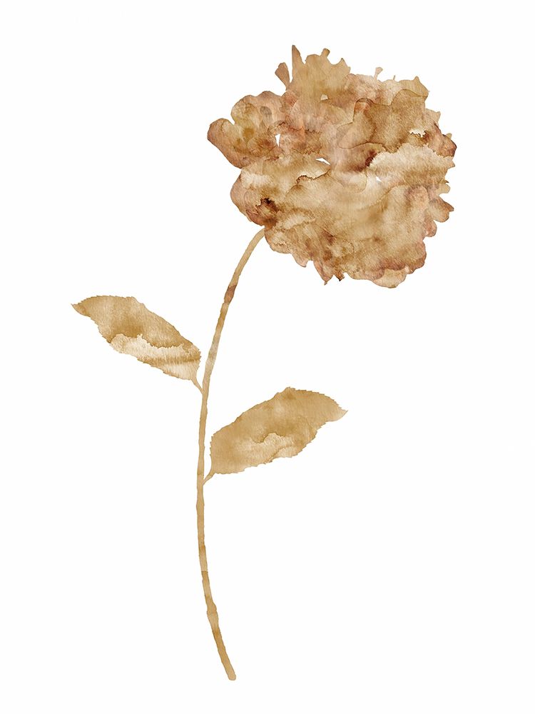 Coffee Hydrangea I art print by Chamira Young for $57.95 CAD