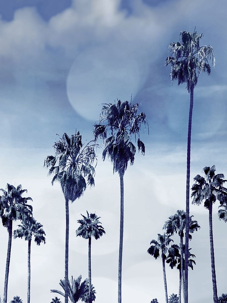 Beach Palms Indigo I art print by Devon Davis for $57.95 CAD