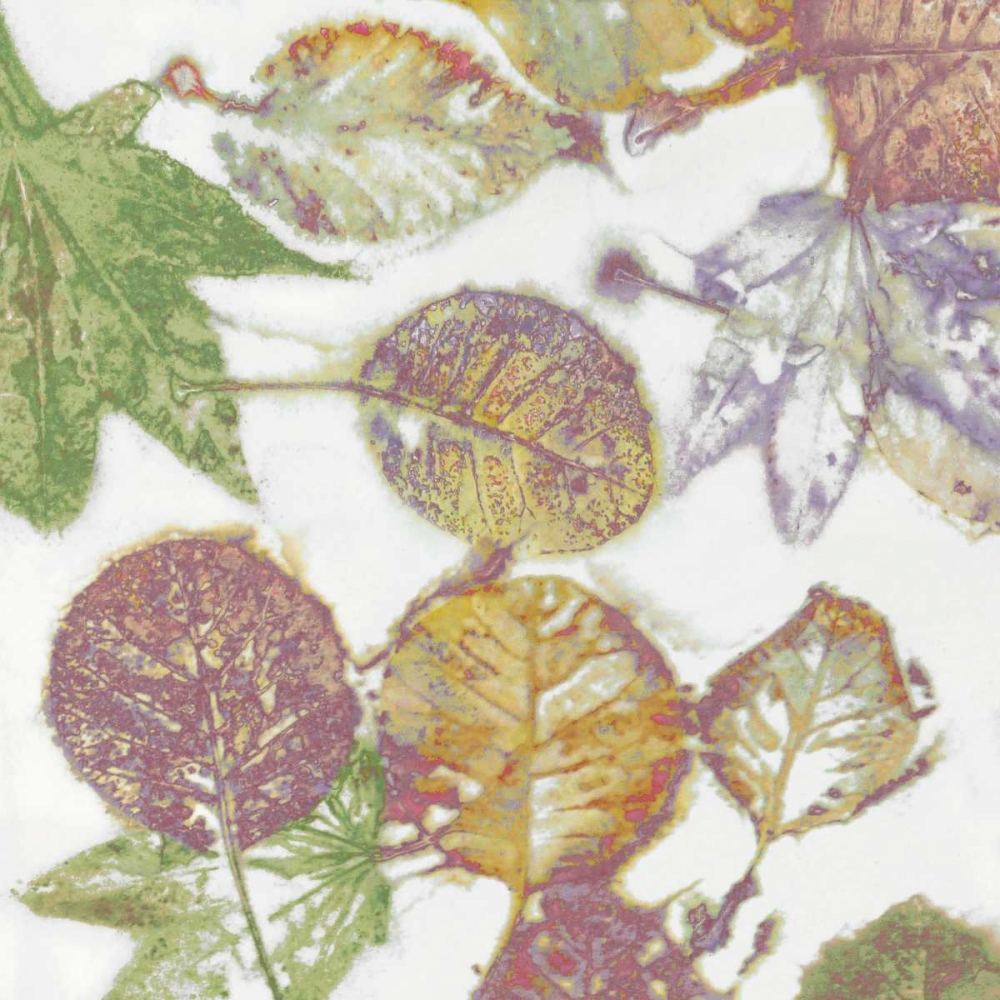 Multi Colored Nature II art print by Danielle Carson for $57.95 CAD