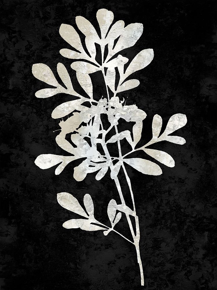 Nature White on Black II art print by Danielle Carson for $57.95 CAD