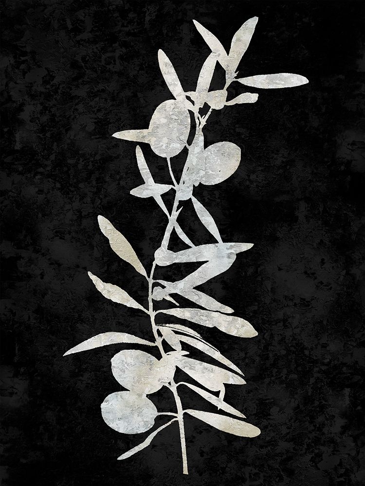 Nature White on Black IV art print by Danielle Carson for $57.95 CAD