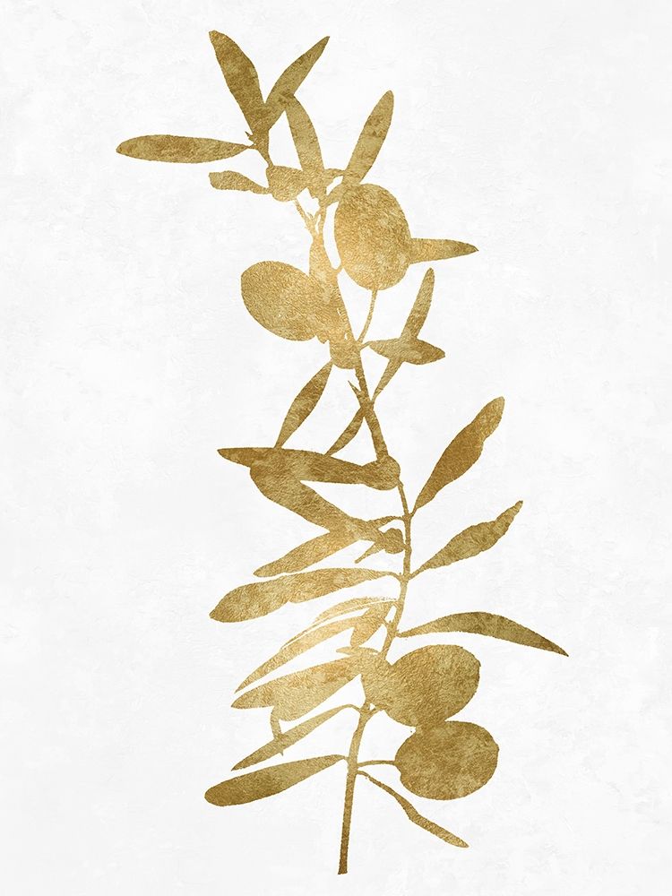 Nature Gold on White IV art print by Danielle Carson for $57.95 CAD