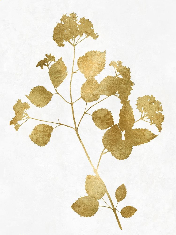 Nature Gold on White VI art print by Danielle Carson for $57.95 CAD