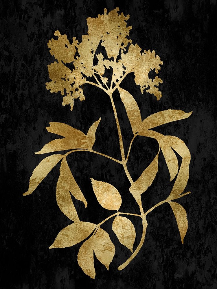 Nature Gold on Black V art print by Danielle Carson for $57.95 CAD