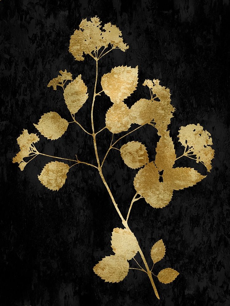 Nature Gold on Black VI art print by Danielle Carson for $57.95 CAD