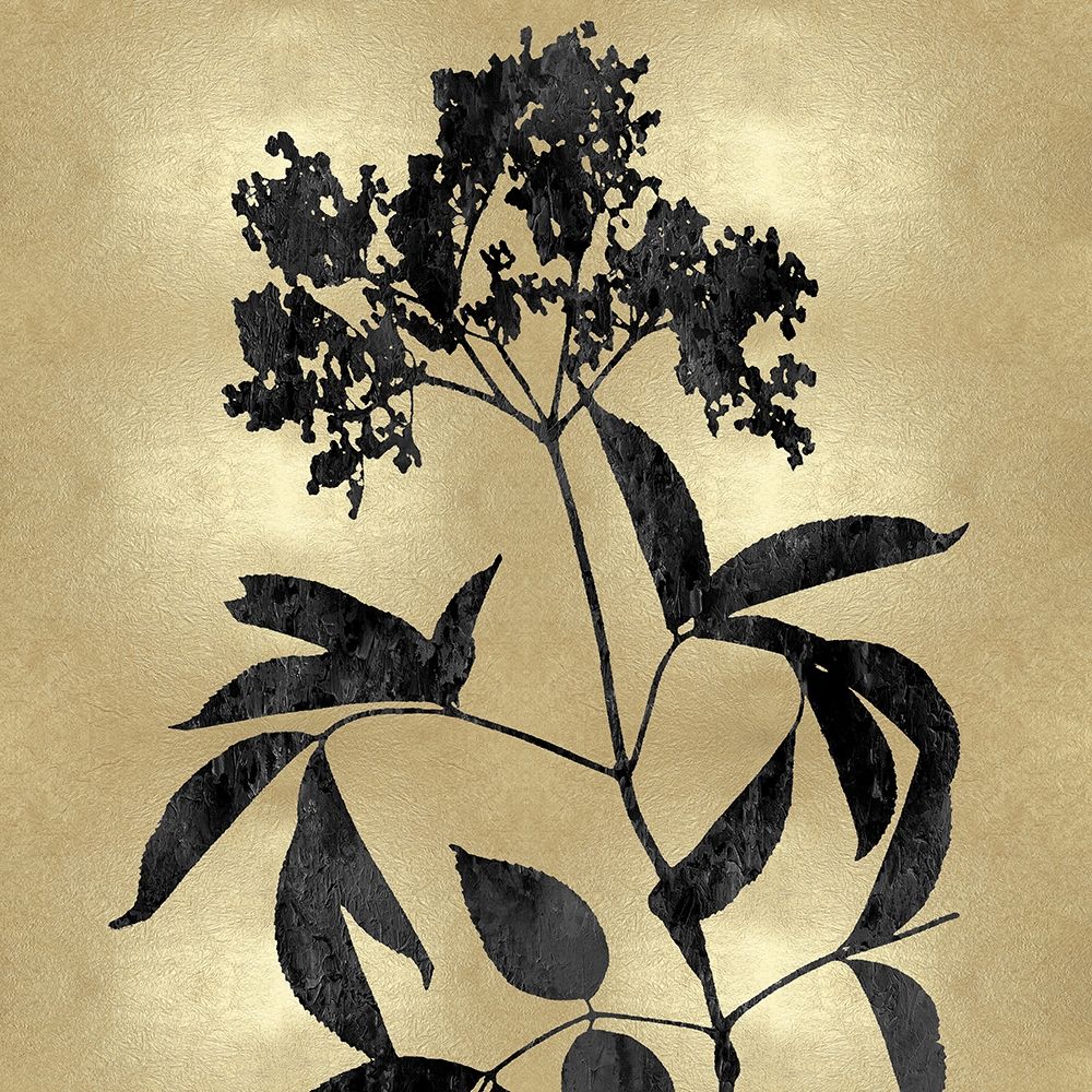 Nature Black on Gold V art print by Danielle Carson for $57.95 CAD