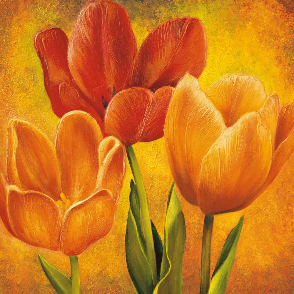 Orange Tulips I art print by David Pedersen for $57.95 CAD