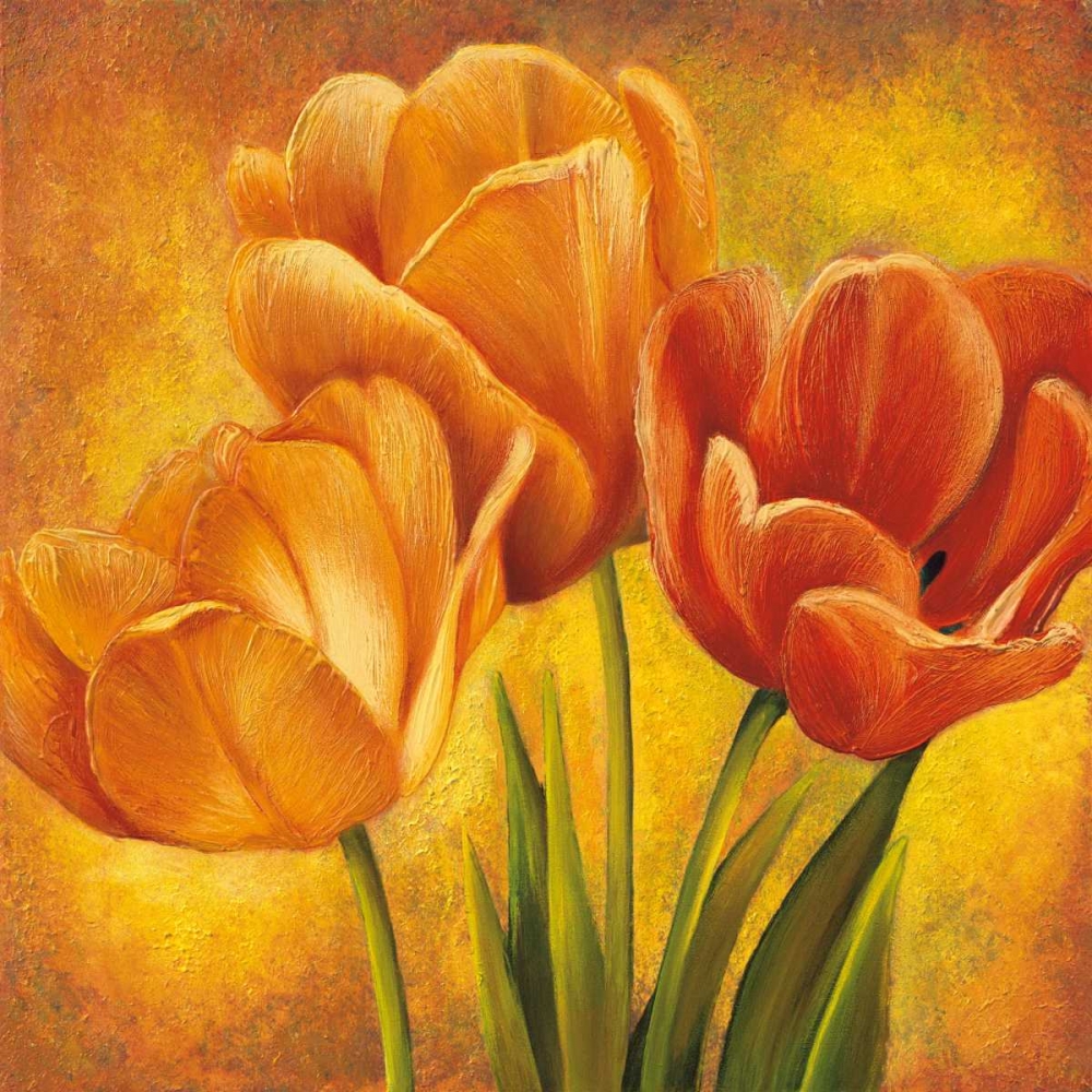 Orange Tulips II art print by David Pedersen for $57.95 CAD