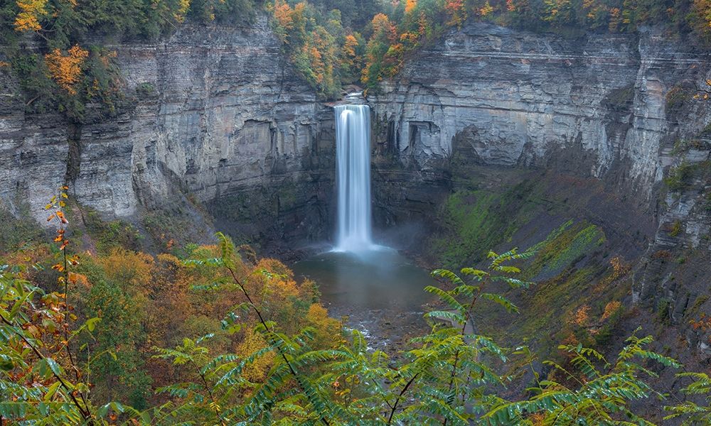 The Falls art print by Dan Sproul for $57.95 CAD