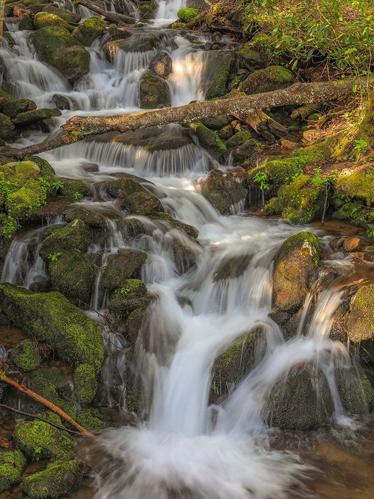 Waterfall art print by Dan Sproul for $57.95 CAD