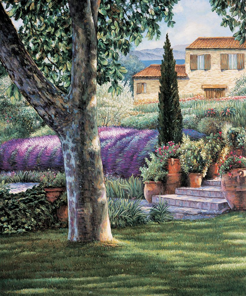 Provence Afternoon I art print by Elizabeth Wright for $57.95 CAD