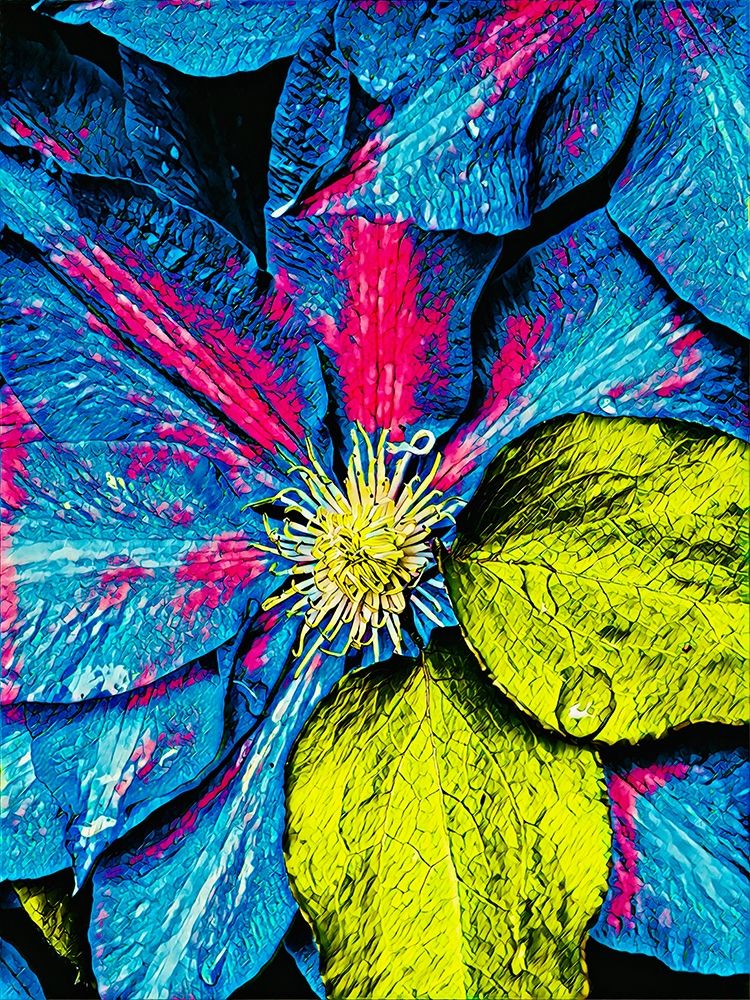 Clematis Abstract art print by Heidi Bannon for $57.95 CAD