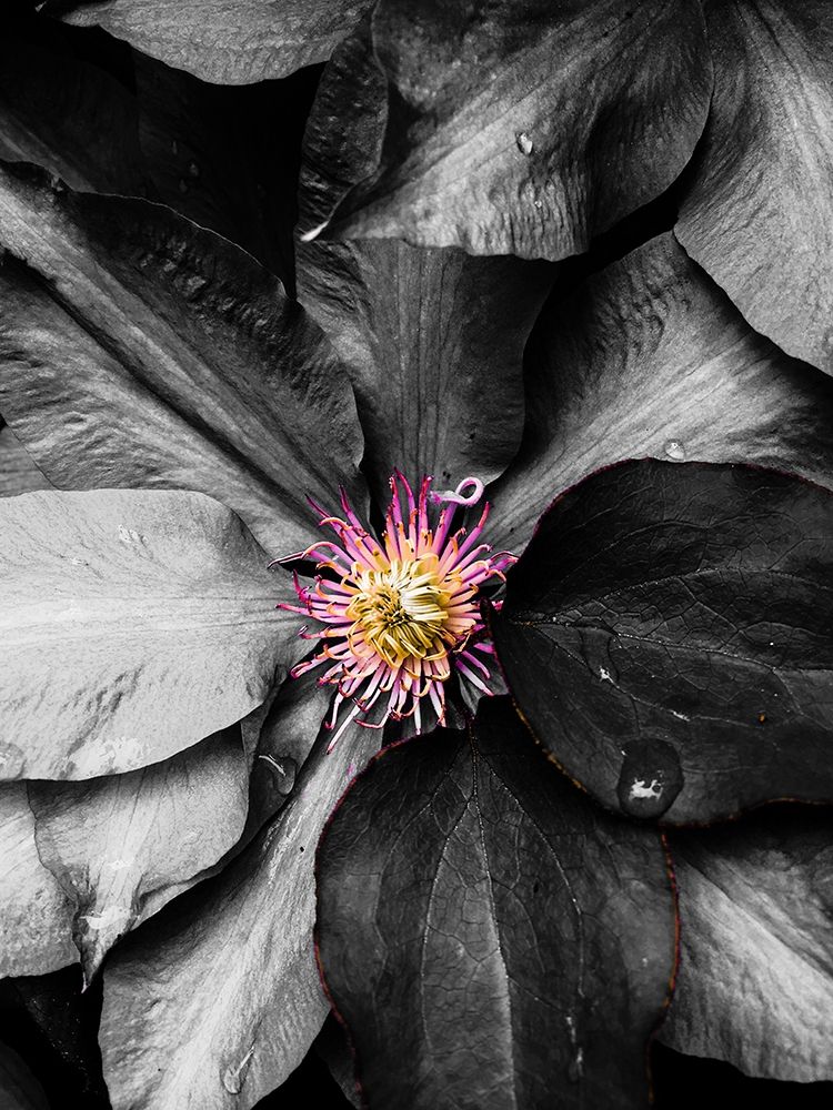 Just a Touch art print by Heidi Bannon for $57.95 CAD