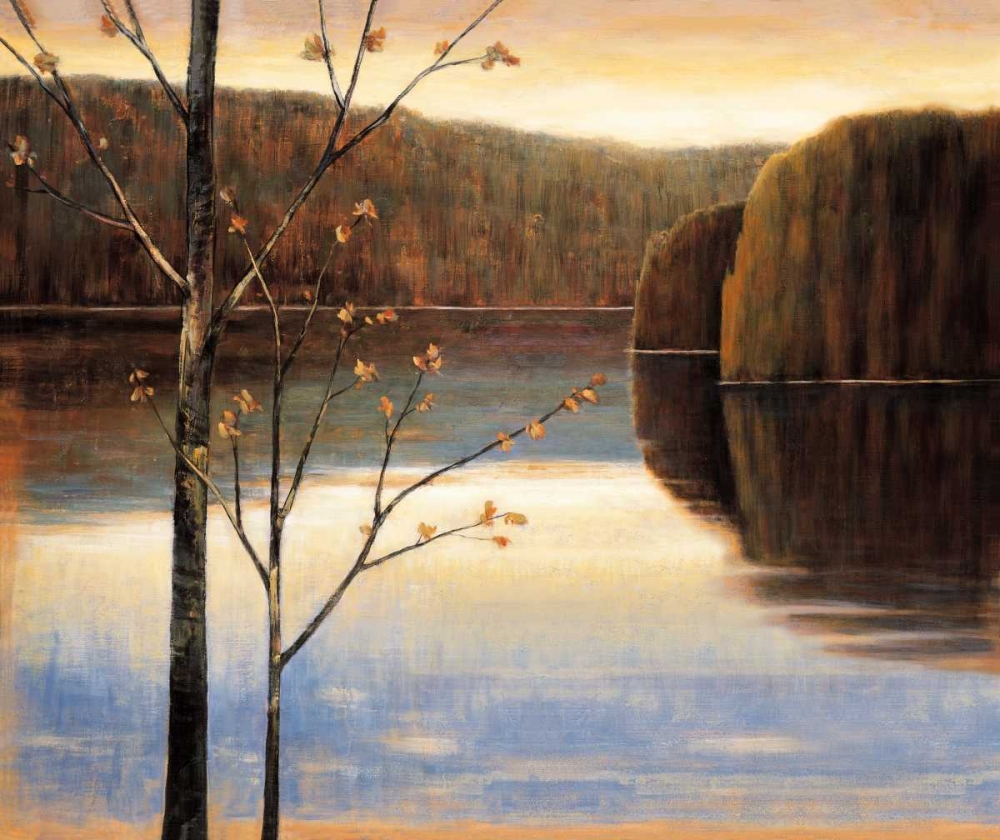 Lakeside I art print by Justin Adams for $57.95 CAD