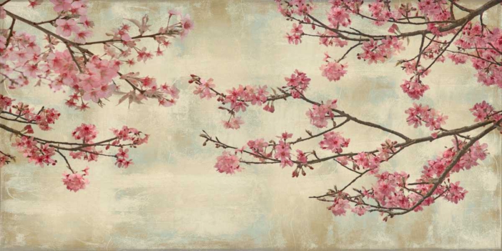 Cherry Blossoms art print by John Seba for $57.95 CAD