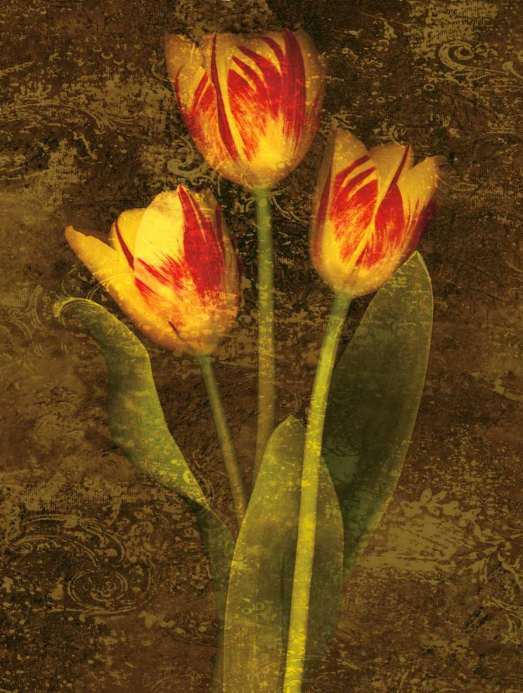 Three Tulips art print by John Seba for $57.95 CAD