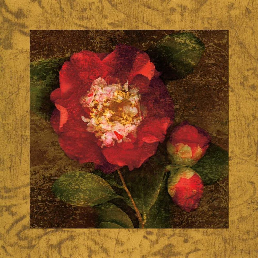 Red Camellias I art print by John Seba for $57.95 CAD