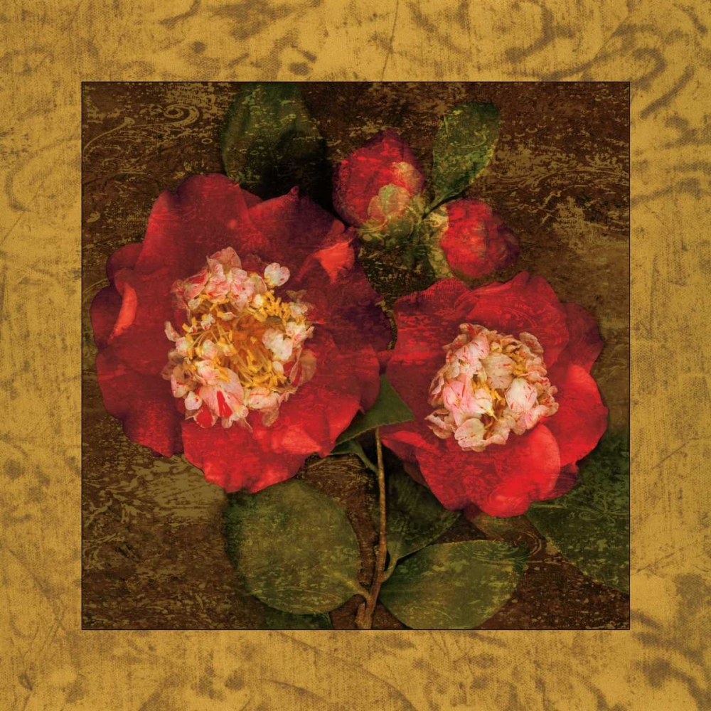 Red Camellias II art print by John Seba for $57.95 CAD