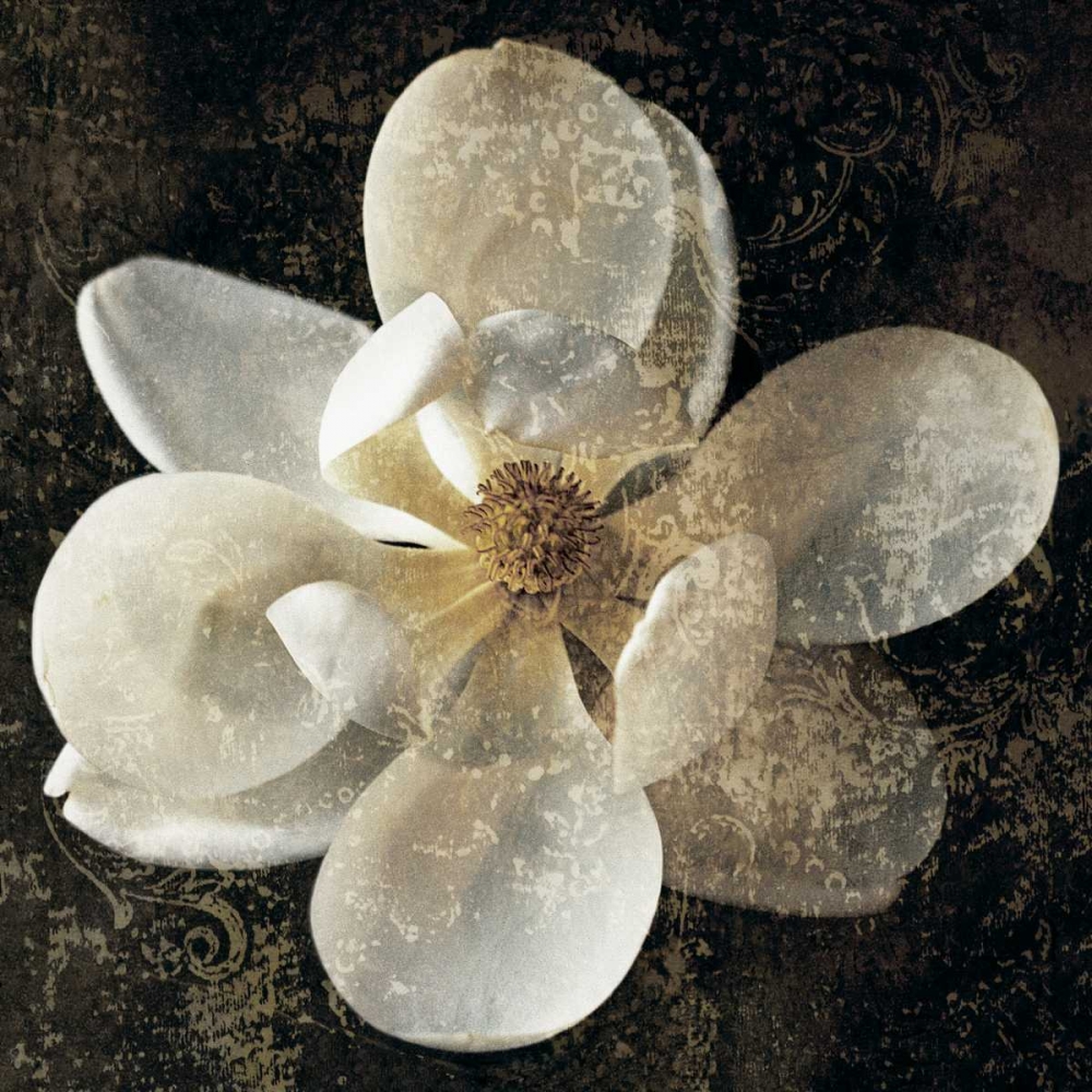 Magnolia I art print by John Seba for $57.95 CAD