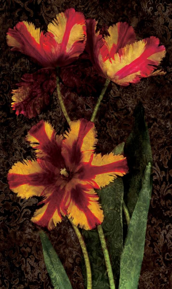 Decorative Tulips I art print by John Seba for $57.95 CAD