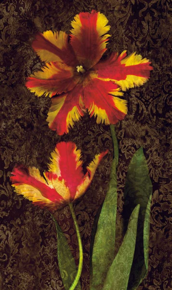 Decorative Tulips II art print by John Seba for $57.95 CAD