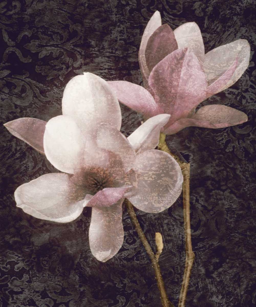 Pink Magnolias I art print by John Seba for $57.95 CAD