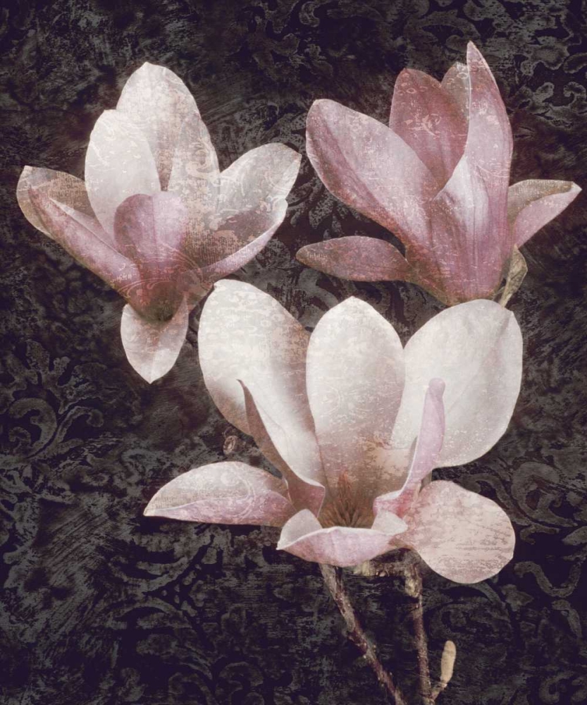 Pink Magnolias II art print by John Seba for $57.95 CAD