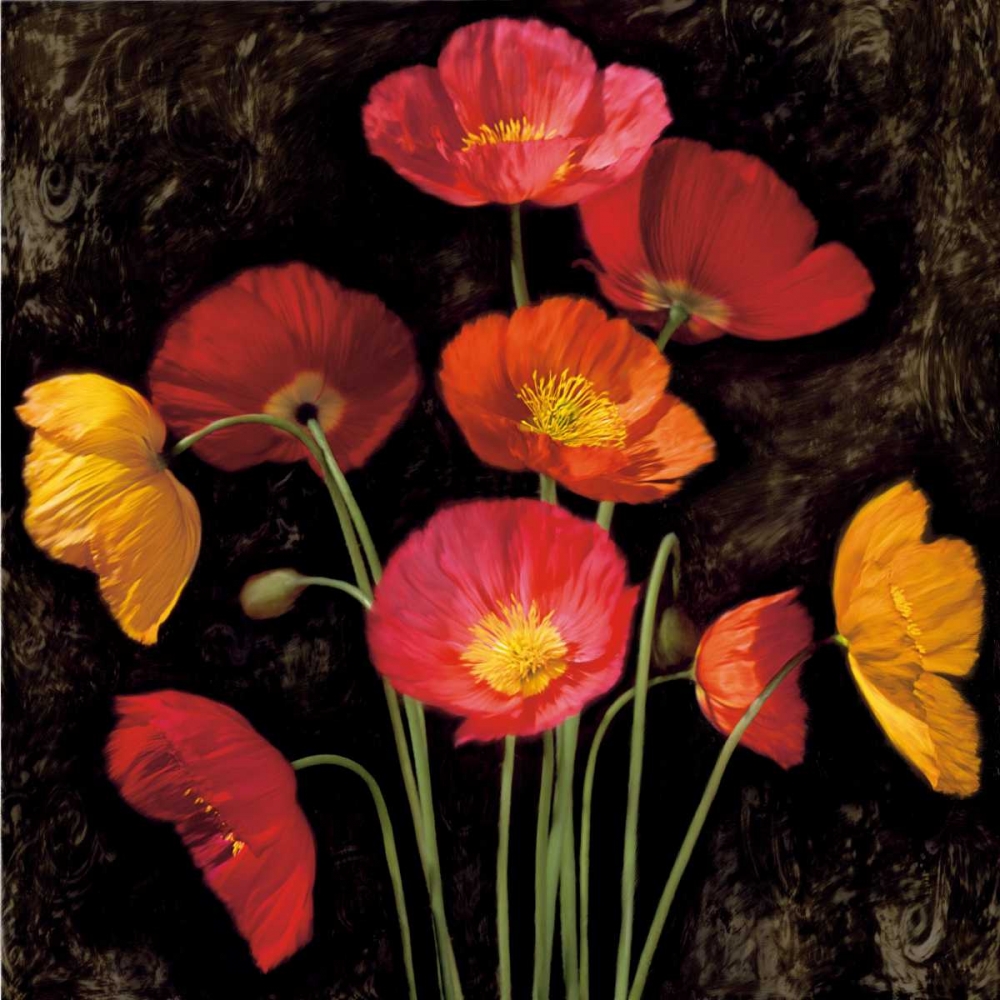 Poppy Bouquet I art print by John Seba for $57.95 CAD