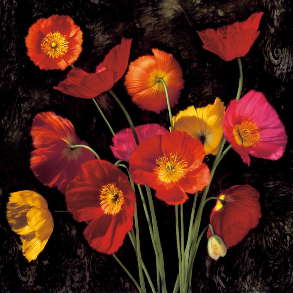 Poppy Bouquet II art print by John Seba for $57.95 CAD