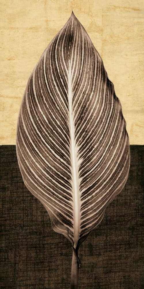 Palm Leaf I art print by John Seba for $57.95 CAD