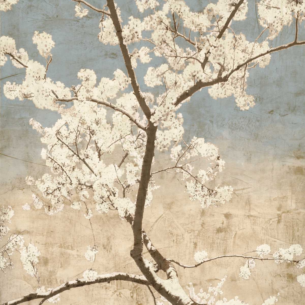 Cherry Blossoms I art print by John Seba for $57.95 CAD