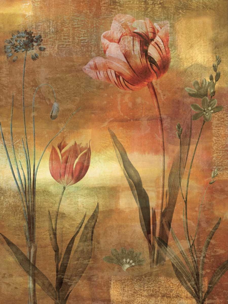 Tulip Garden II art print by John Seba for $57.95 CAD