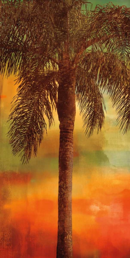 Sunset Palms I art print by John Seba for $57.95 CAD