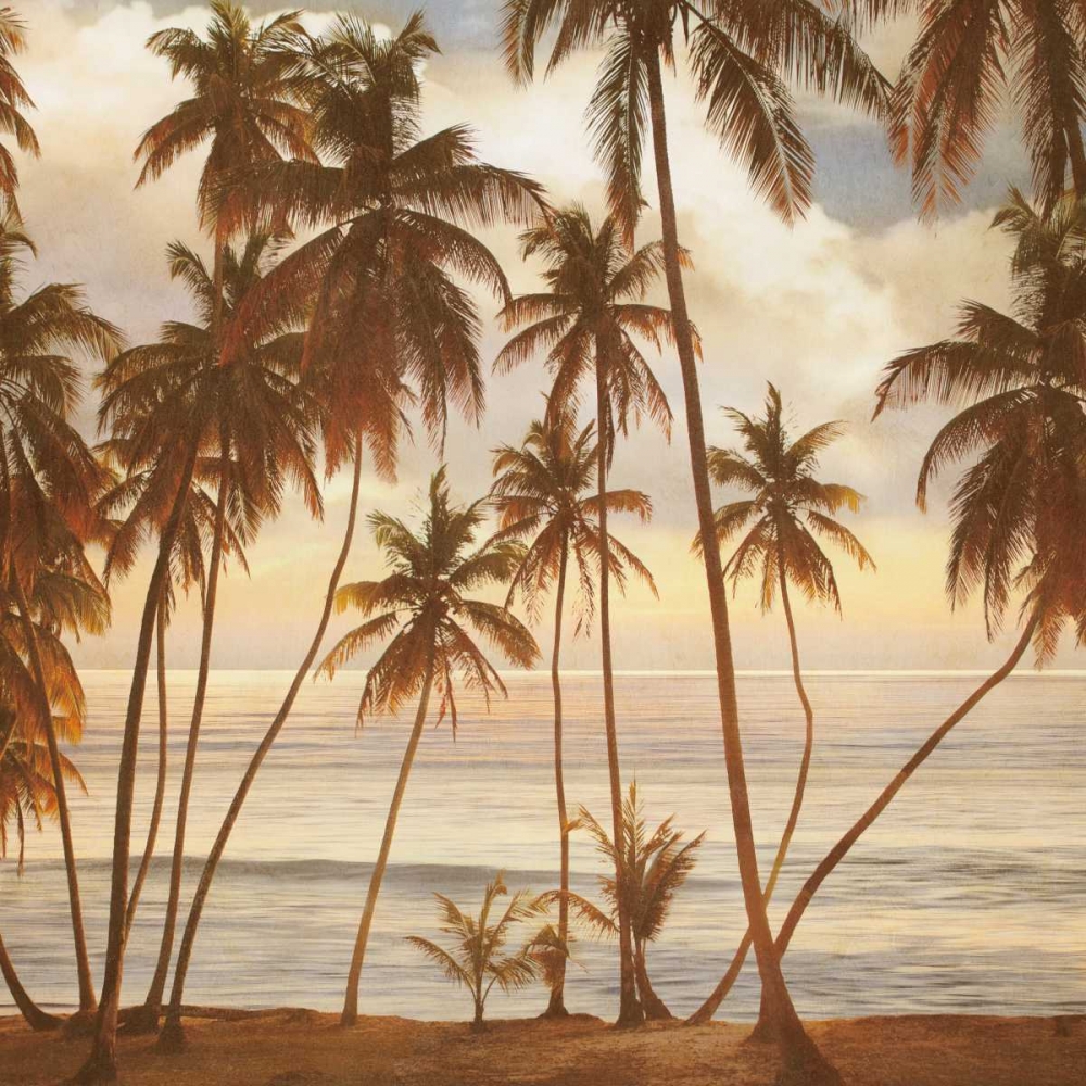 Palms on the Water I art print by John Seba for $57.95 CAD