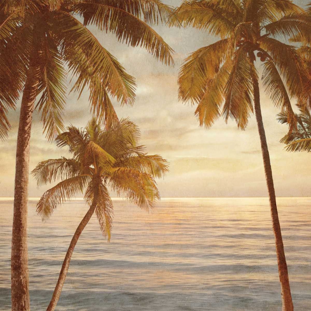 Palms on the Water II art print by John Seba for $57.95 CAD