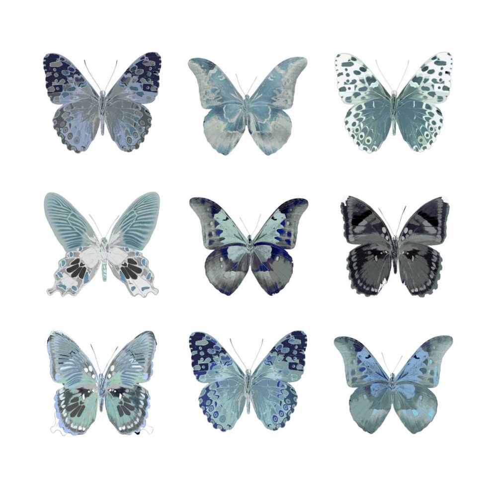 Butterfly Study in Blue II art print by Julia Bosco for $57.95 CAD