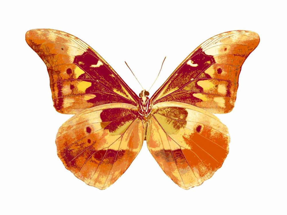 Butterfly in Grey III art print by Julia Bosco for $57.95 CAD