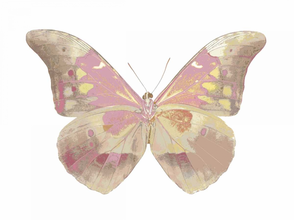 Butterfly in Teal I art print by Julia Bosco for $57.95 CAD