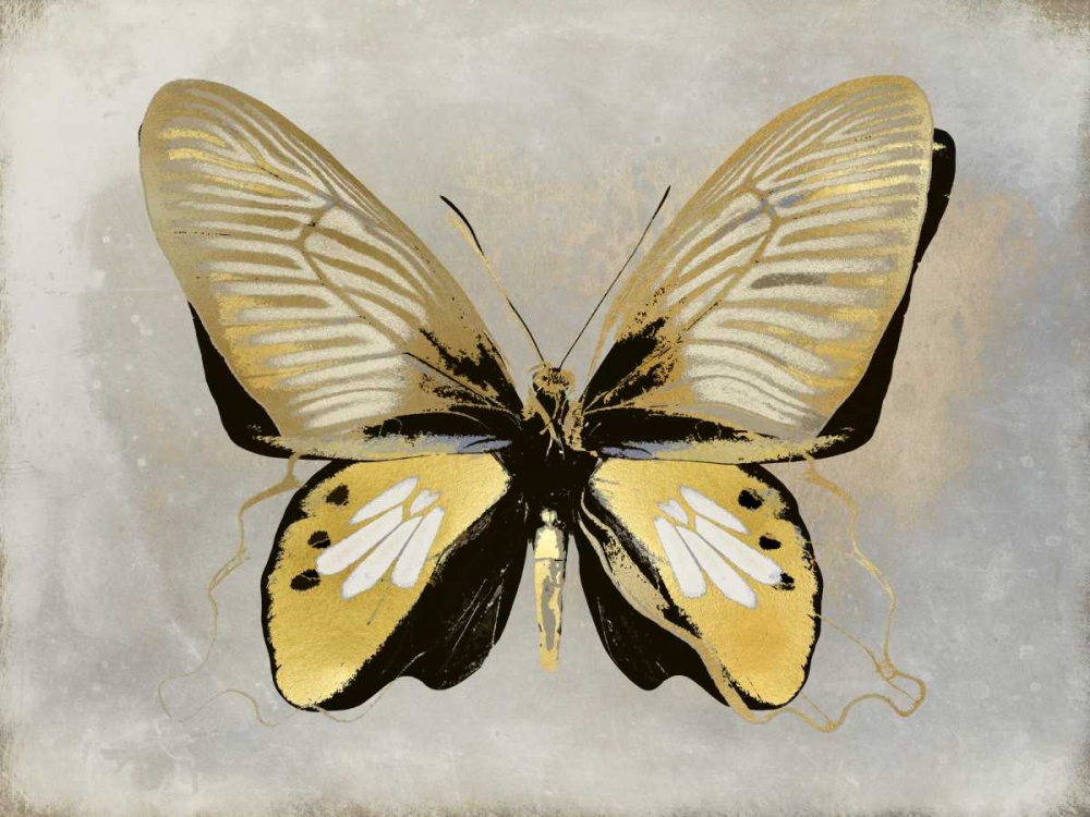 Butterfly Study I art print by Julia Bosco for $57.95 CAD